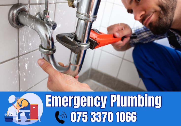  plumber Higham Wood